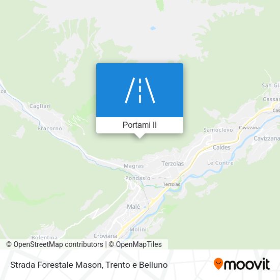 Mappa Strada Forestale Mason