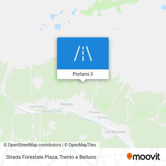 Mappa Strada Forestale Plaza