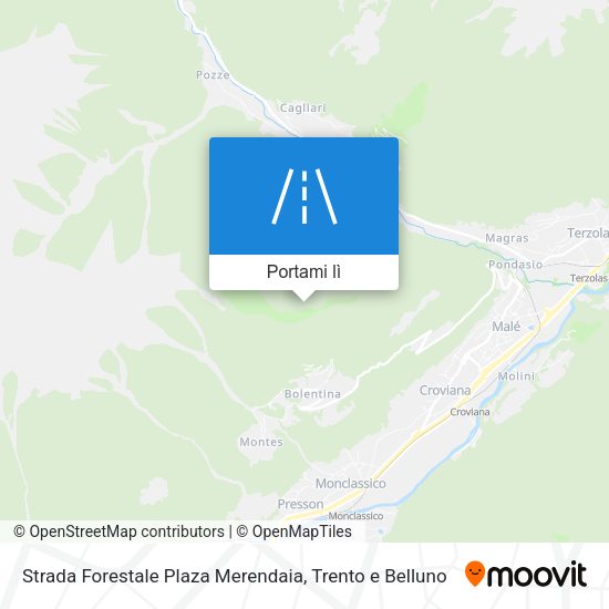 Mappa Strada Forestale Plaza Merendaia
