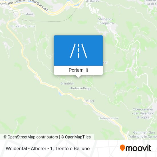 Mappa Weidental - Alberer - 1