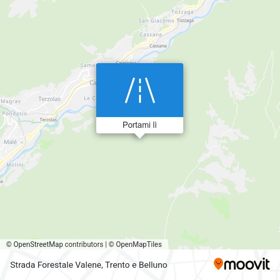 Mappa Strada Forestale Valene