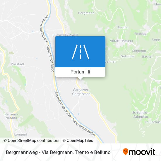 Mappa Bergmannweg - Via Bergmann