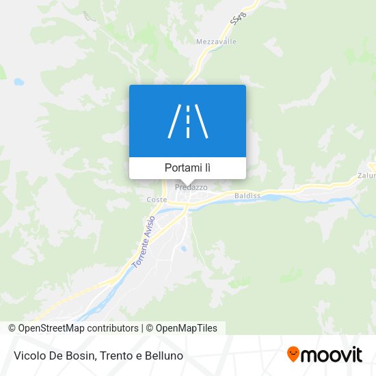 Mappa Vicolo De Bosin
