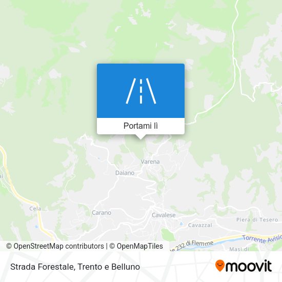 Mappa Strada Forestale