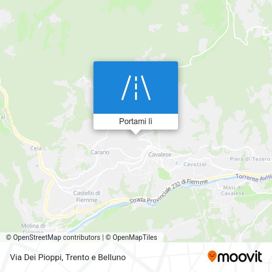 Mappa Via Dei Pioppi