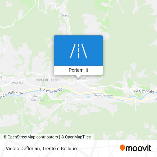 Mappa Vicolo Deflorian