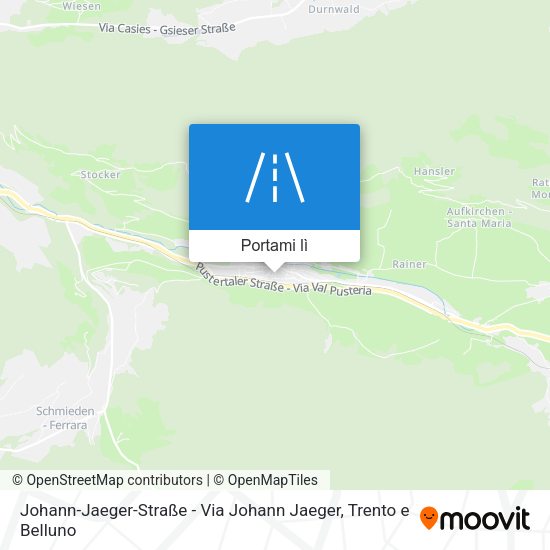 Mappa Johann-Jaeger-Straße - Via Johann Jaeger