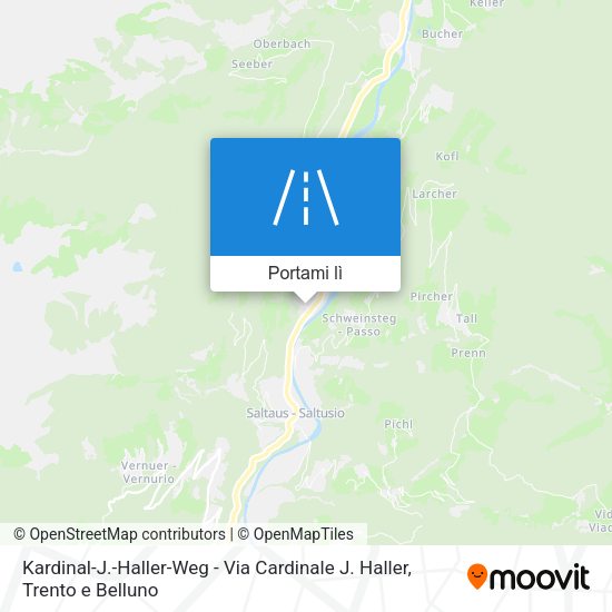 Mappa Kardinal-J.-Haller-Weg - Via Cardinale J. Haller