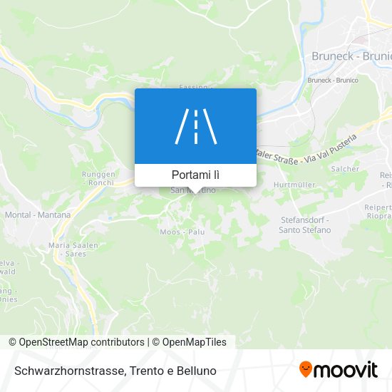 Mappa Schwarzhornstrasse