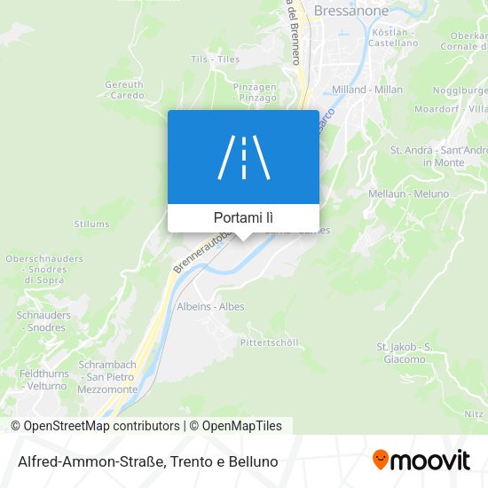 Mappa Alfred-Ammon-Straße