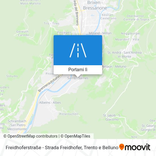 Mappa Freidhoferstraße - Strada Freidhofer