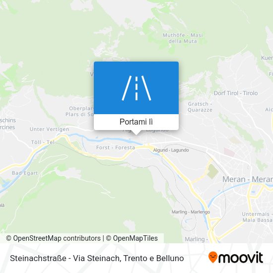 Mappa Steinachstraße - Via Steinach