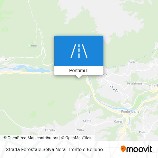 Mappa Strada Forestale Selva Nera