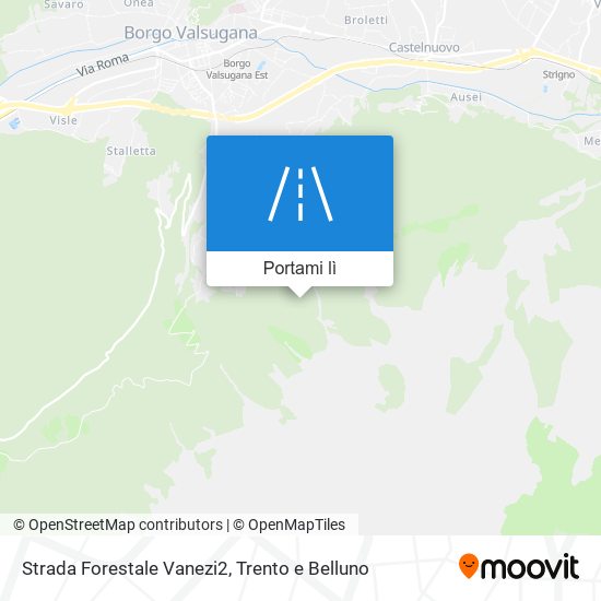 Mappa Strada Forestale Vanezi2