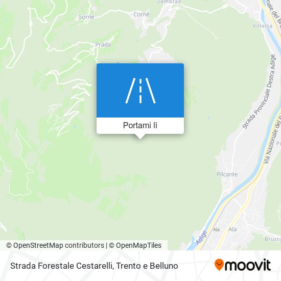 Mappa Strada Forestale Cestarelli