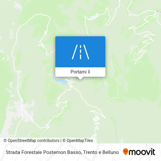 Mappa Strada Forestale Postemon Basso