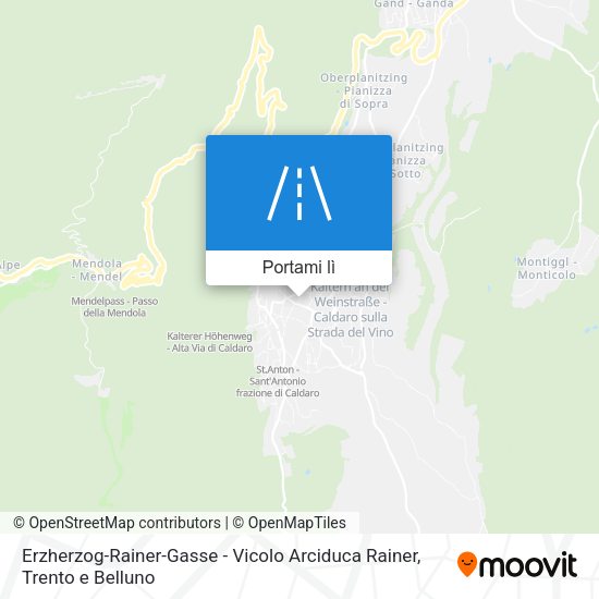 Mappa Erzherzog-Rainer-Gasse - Vicolo Arciduca Rainer