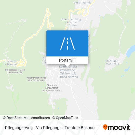 Mappa Pflegangerweg - Via Pfleganger