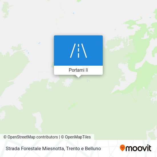 Mappa Strada Forestale Miesnotta