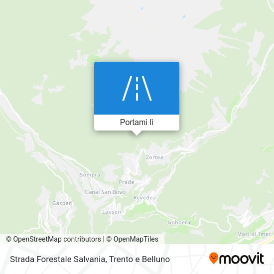 Mappa Strada Forestale Salvania