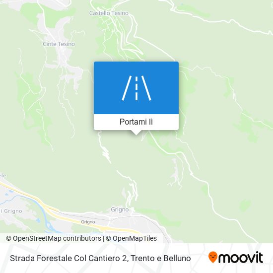 Mappa Strada Forestale Col Cantiero 2