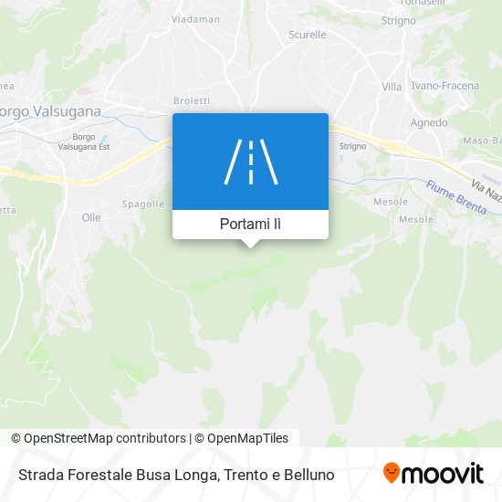 Mappa Strada Forestale Busa Longa