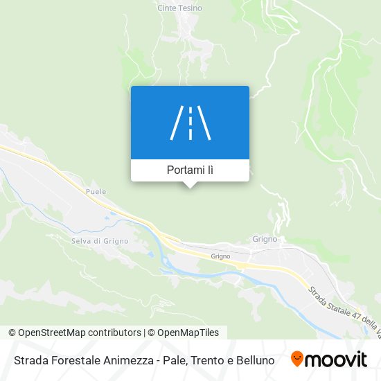 Mappa Strada Forestale Animezza - Pale