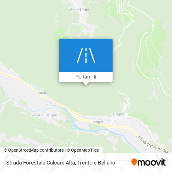 Mappa Strada Forestale Calcare Alta