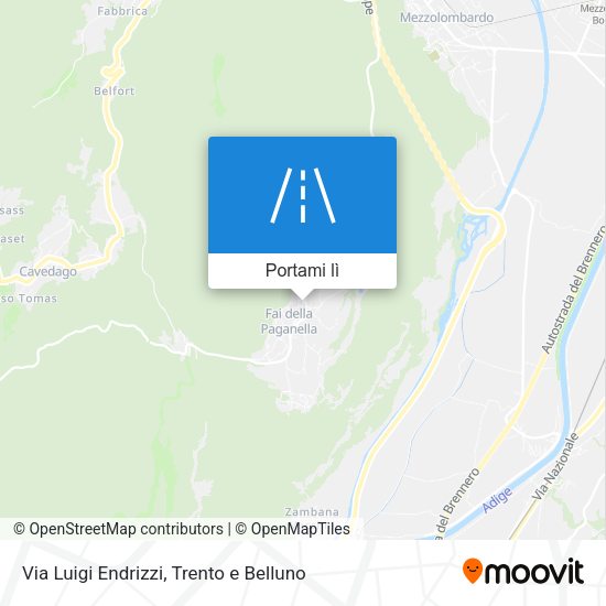 Mappa Via Luigi Endrizzi