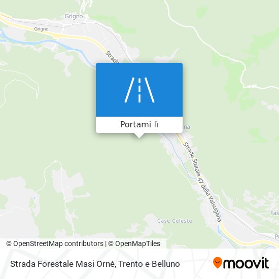 Mappa Strada Forestale Masi Ornè