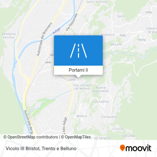 Mappa Vicolo III Bristol