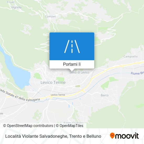 Mappa Località Violante Salvadoneghe