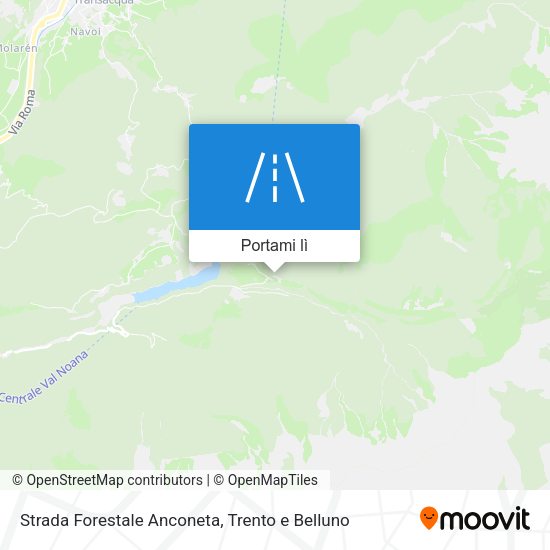 Mappa Strada Forestale Anconeta