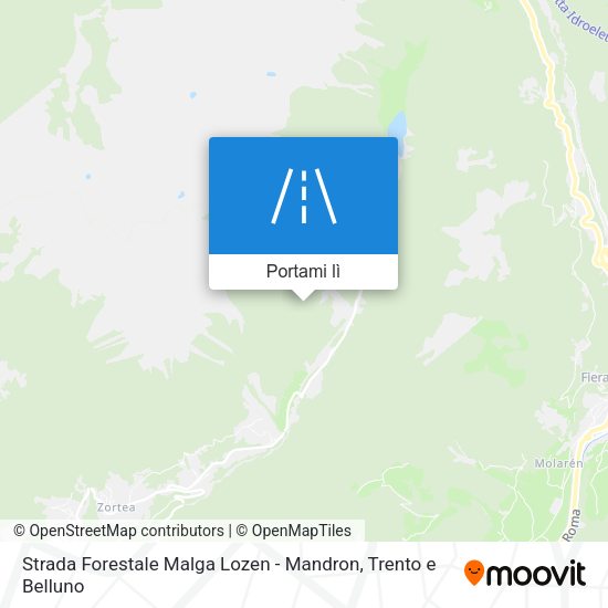 Mappa Strada Forestale Malga Lozen - Mandron