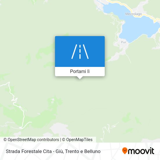 Mappa Strada Forestale Cita - Giù