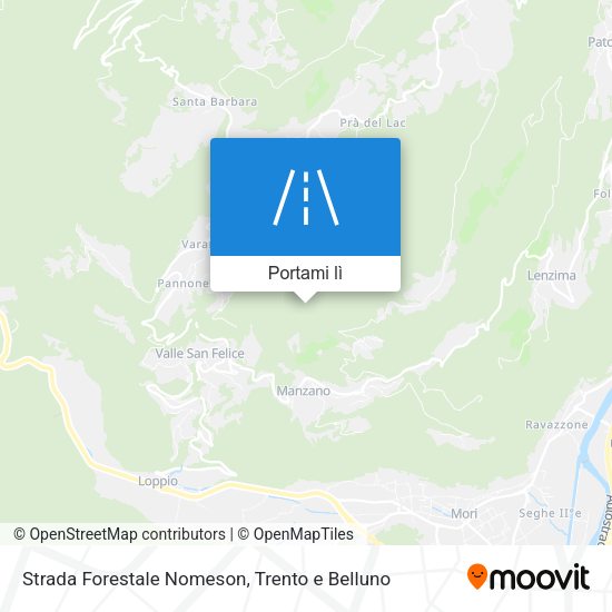 Mappa Strada Forestale Nomeson