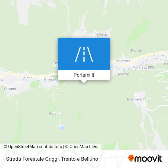 Mappa Strada Forestale Gaggi
