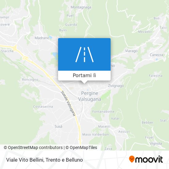 Mappa Viale Vito Bellini