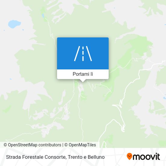 Mappa Strada Forestale Consorte