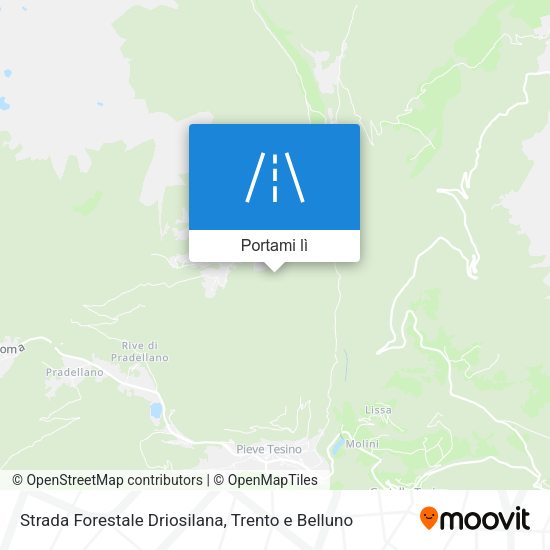 Mappa Strada Forestale Driosilana