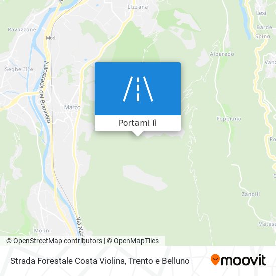 Mappa Strada Forestale Costa Violina