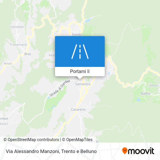 Mappa Via Alessandro Manzoni