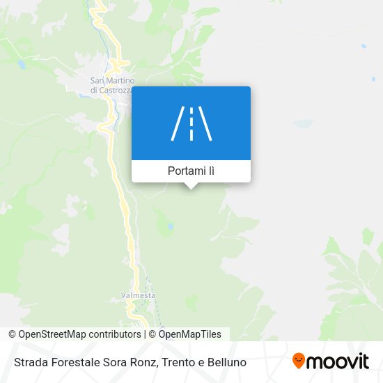 Mappa Strada Forestale Sora Ronz
