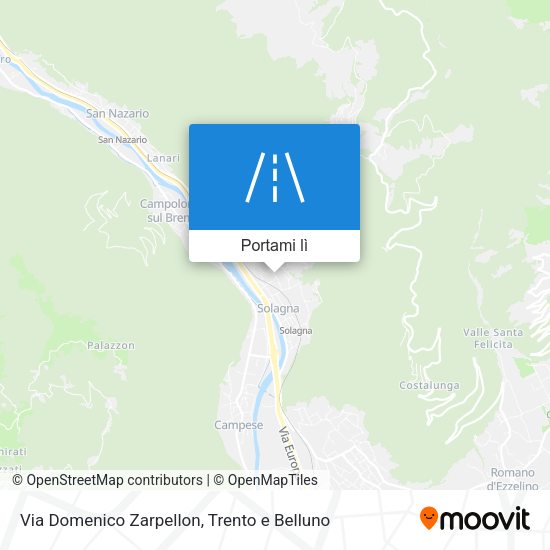 Mappa Via Domenico Zarpellon