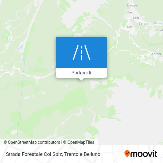 Mappa Strada Forestale Col Spiz