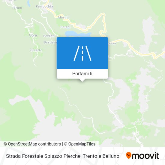 Mappa Strada Forestale Spiazzo Plerche