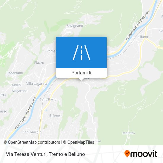 Mappa Via Teresa Venturi