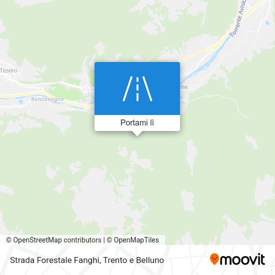 Mappa Strada Forestale Fanghi