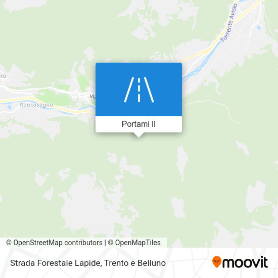 Mappa Strada Forestale Lapide