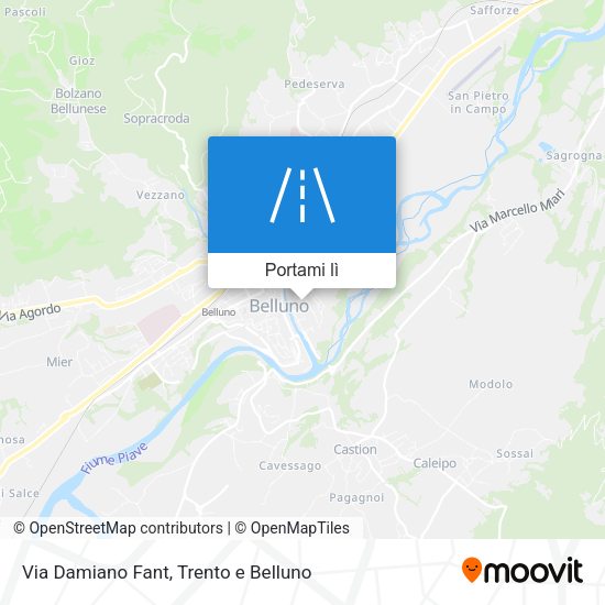 Mappa Via Damiano Fant